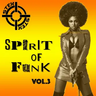 Spirit Of Funk Vol.3 by Stex