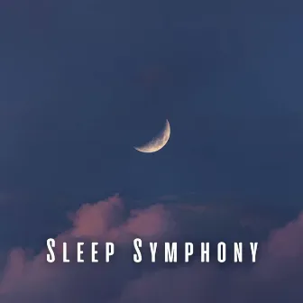 Sleep Symphony: Lulling Lofi Music and Ambient Sounds by Sleep Surfers