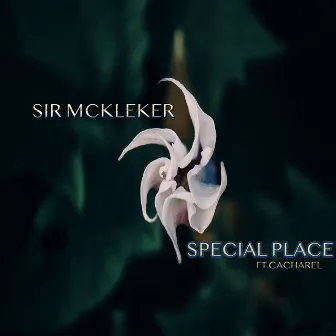 Special Place (feat. Cacharel) by Sir McKleker