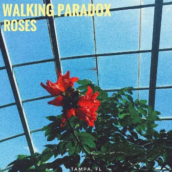 Roses by Walking Paradox