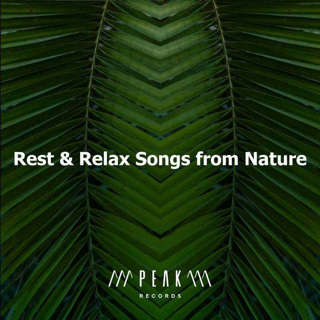 Rest & Relax Songs from Nature