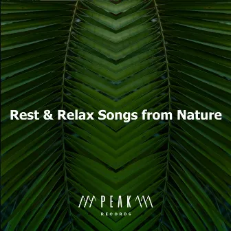 Rest & Relax Songs from Nature by Singing Birds