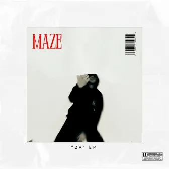 29 by Maze