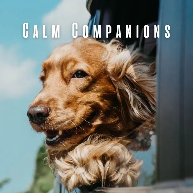 Calm Companions: Ambient Music for Pets