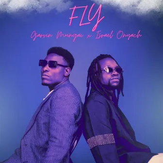 Fly by Garvin Mungai