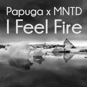 I Feel Fire by Papuga