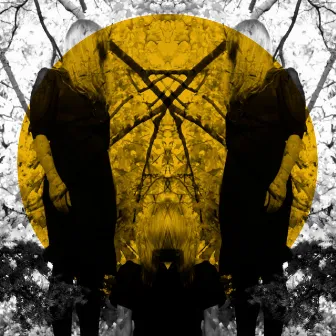 Feel It Break (Deluxe Version) by Austra