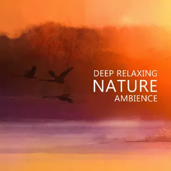 Deep Relaxing Nature Ambience - Relaxing River Sounds, Gentle Ocean Waves, Nature Sounds, Rain, Forest, Singing Birds Ambience (Music for Meditation & Sleep) by The Flowing Mind