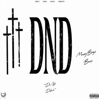 DND by Moneybagz Buzz