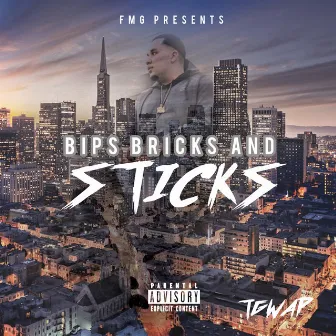 Bips Bricks and Sticks by Tgwap