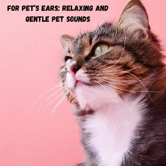 For Pet’s Ears: Relaxing and Gentle Pet Sounds by Relaxing Guru