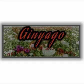 Ginyago by Lil Mighty