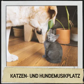 Katzen- und Hundemusikplatz: Ruhige Melodien für müde Haustiere by Relajacion