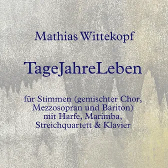 Tage Jahre Leben (Instrumental) by Mathias Wittekopf