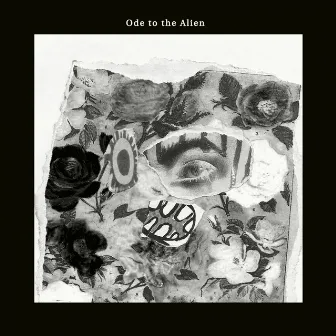 Ode to the Alien by Phebe Starr