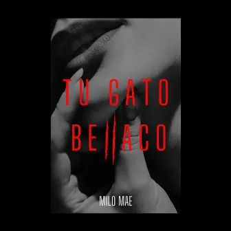 Tu Gato Bellaco by Milo Mae