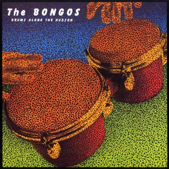 Drums Along the Hudson by The Bongos