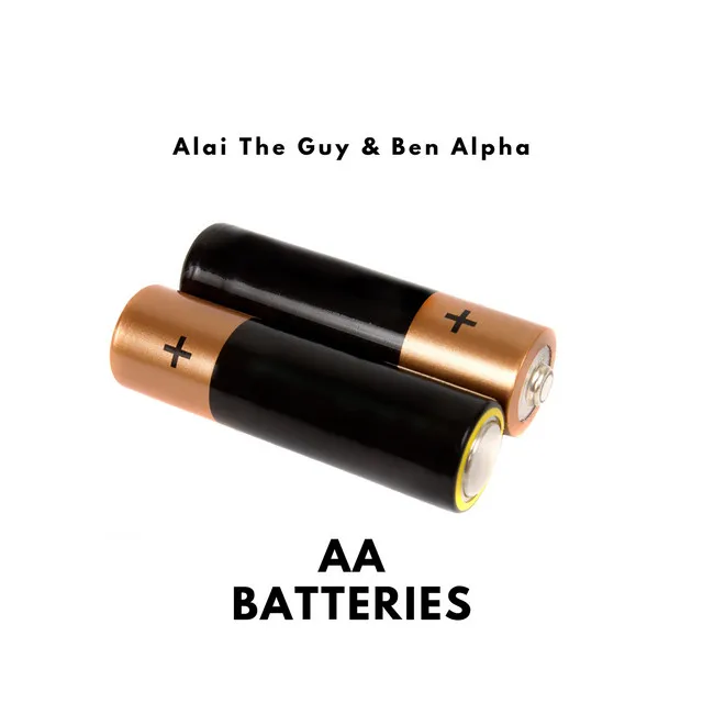 AA Batteries