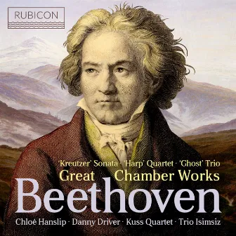 Beethoven: Great Chamber Works by Danny Driver