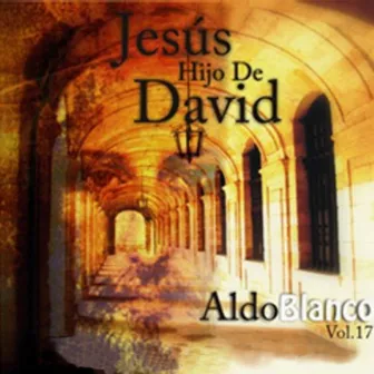 Jesus Hijo de David, Vol. 17 by Aldo Blanco