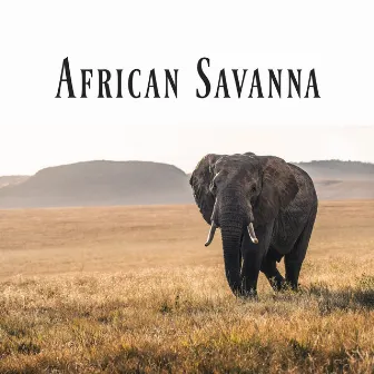 African Savanna: Collection of African Sounds of Nature with Traditional Rhythms of Tribal Drums by Serenity Music Academy