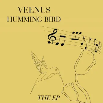 Humming Bird (Live) by Veenus