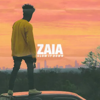 Slow It Down by Zaia