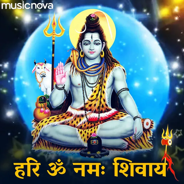 Hari Om Namah Shivay