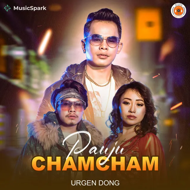 Pauju Chham Chham