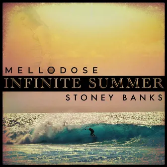 Infinite Summer by Stoney Banks