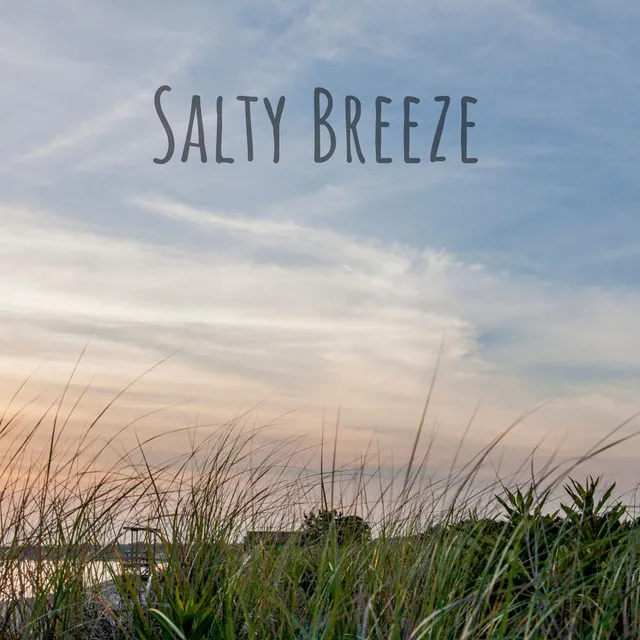 Salty Breeze