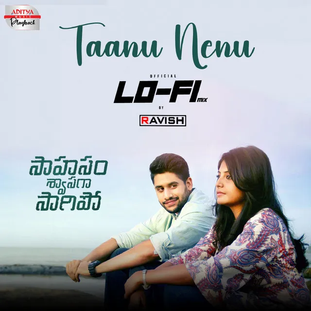 Taanu Nenu Lofi Mix