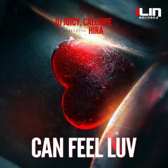 Can Feel Luv by Calliope