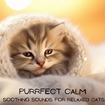 Purrfect Calm: Soothing Sounds for Relaxed Cats, Peaceful Nap Time & Stress-Free Felines by Cat Music Dream