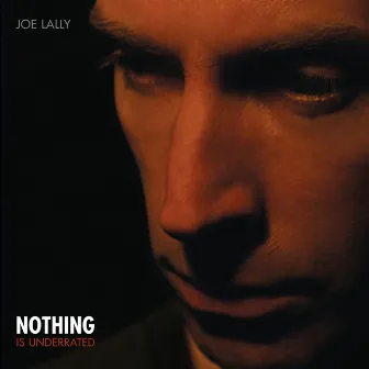 Nothing is Underrated by Joe Lally