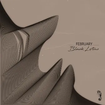 February by Black Lotus