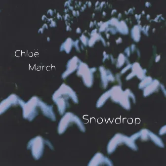 Snowdrop by Chloë March