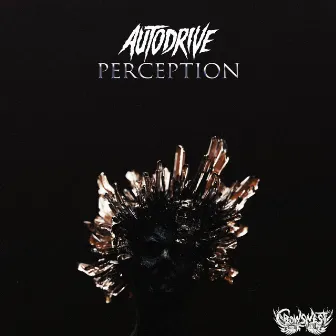 Perception by Autodrive