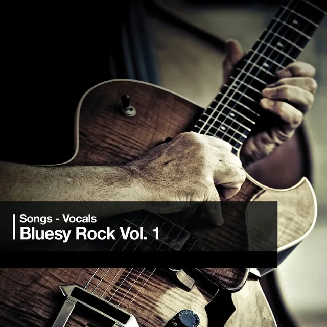 Bluesy Rock Vol. 1