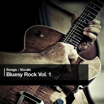 Bluesy Rock Vol. 1 by Robert J Walsh