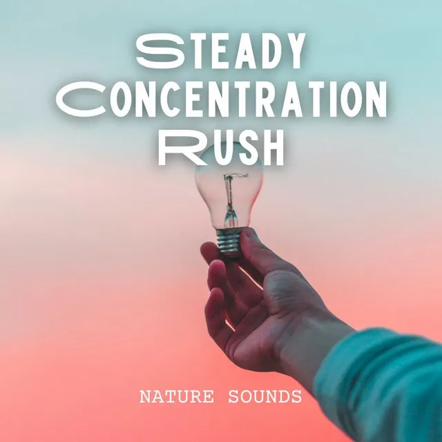 Nature Sounds: Steady Concentration Rush