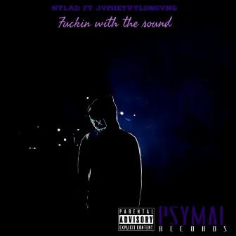 Fuckin With The Sound by NYLAD