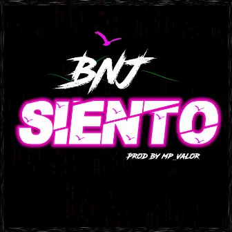 Siento by BNJ