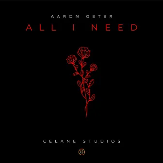 All I Need by Aaron Geter