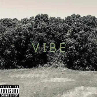 Vibe by Teo the Artist