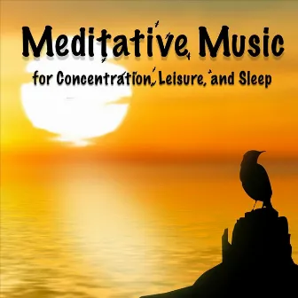 Meditative Music for Concentration, Leisure, and Sleep by Unknown Artist