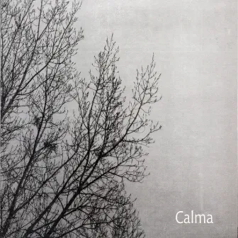 Calma by Carlos Aguirre