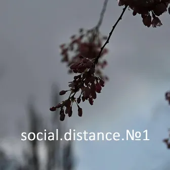 Social Distance No1 by #raccune