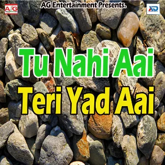 Tu Nahi Aai Teri Yad Aai by Milan Singh