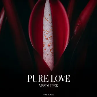 Pure Love by Vesim Ipek